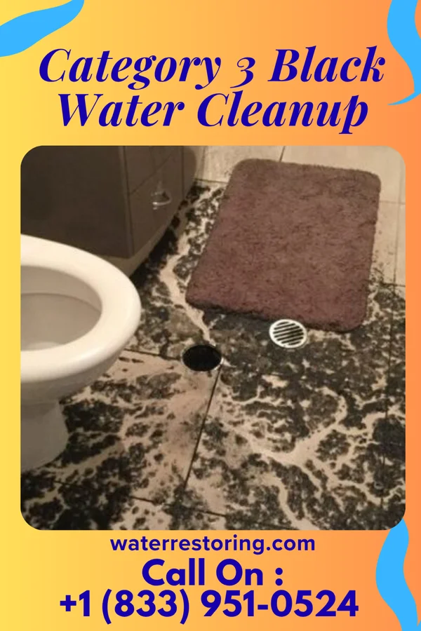 Category 3 Black Water Cleanup in Dent, MN