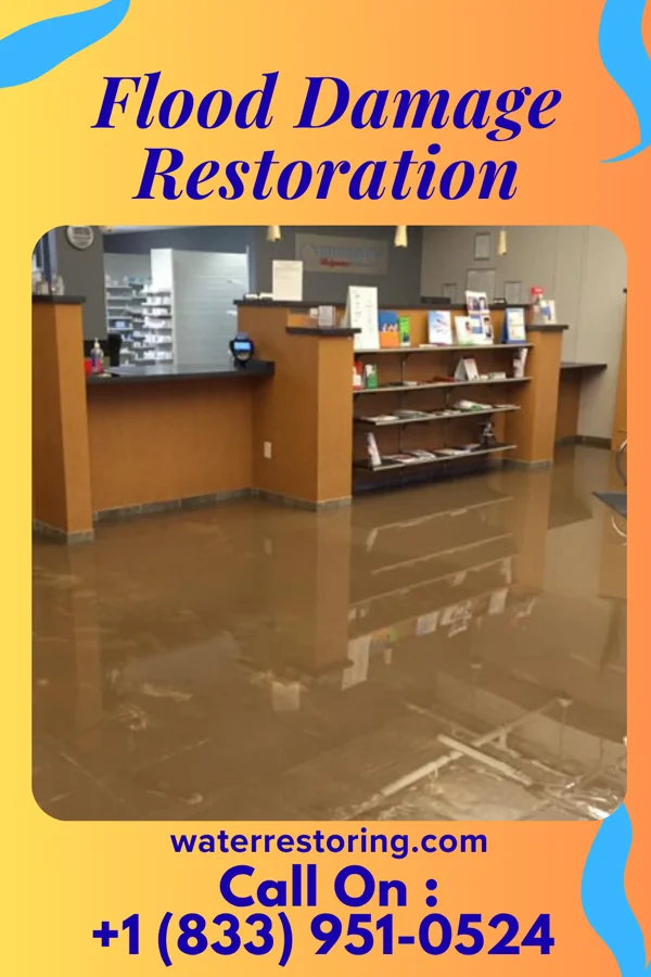 Flood Damage Restoration in Dent, MN
