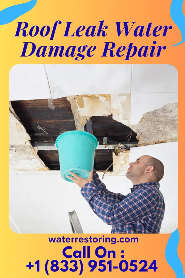 Roof Leak Water Damage Repair in Dent, MN